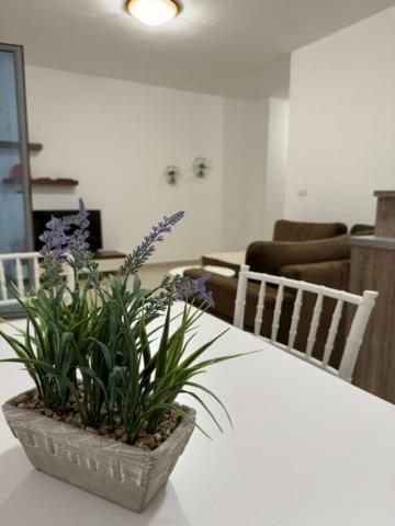 Beachsite Влёра Экстерьер фото